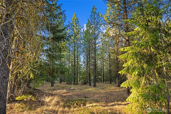 1 Acre of Residential Land for Sale in Cle Elum, Washington