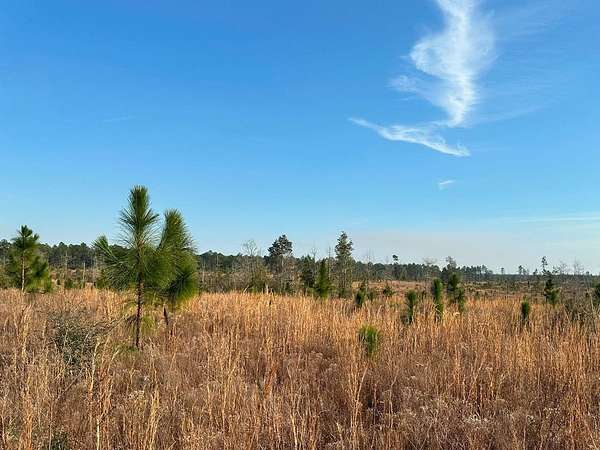 160 Acres of Land for Sale in Wiggins, Mississippi