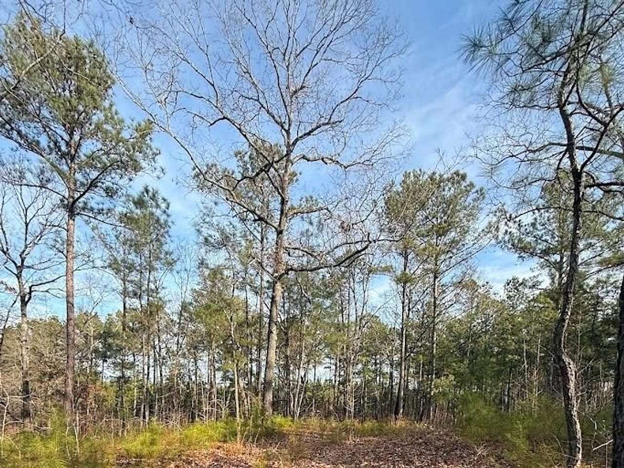 202 Acres of Land for Sale in Lanett, Alabama