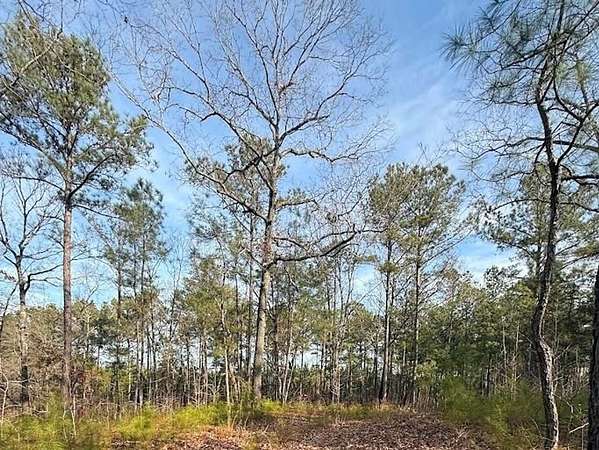 202 Acres of Land for Sale in Lanett, Alabama