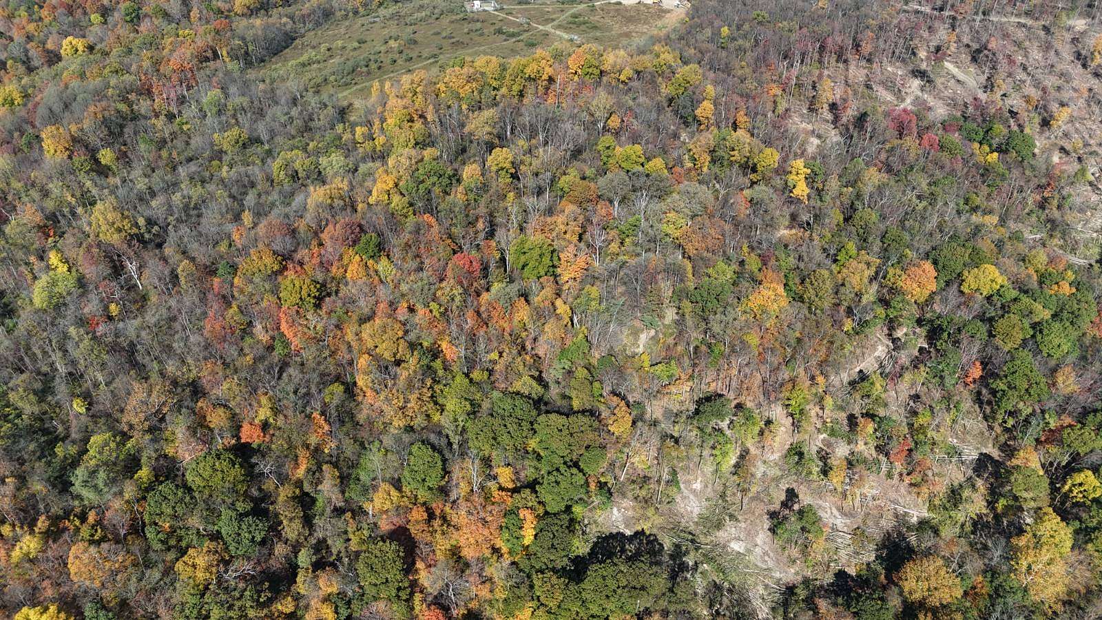 19 Acres of Land for Sale in New Florence, Pennsylvania