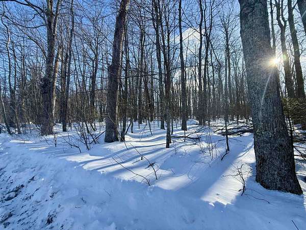 0.6 Acres of Residential Land for Sale in Wabeno, Wisconsin