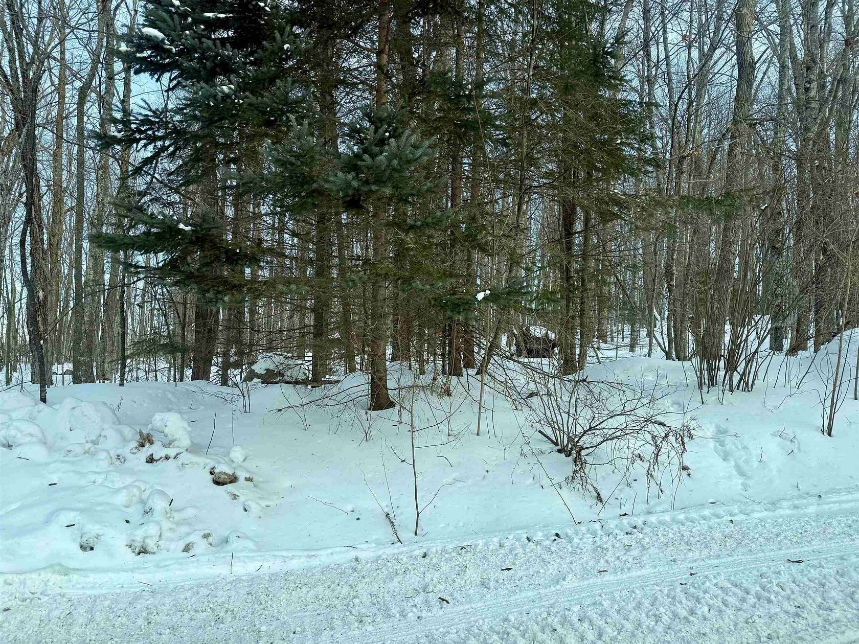 2.1 Acres of Residential Land for Sale in Wabeno, Wisconsin