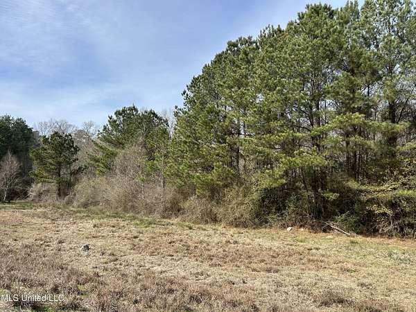 50 Acres of Recreational Land for Sale in Liberty, Mississippi