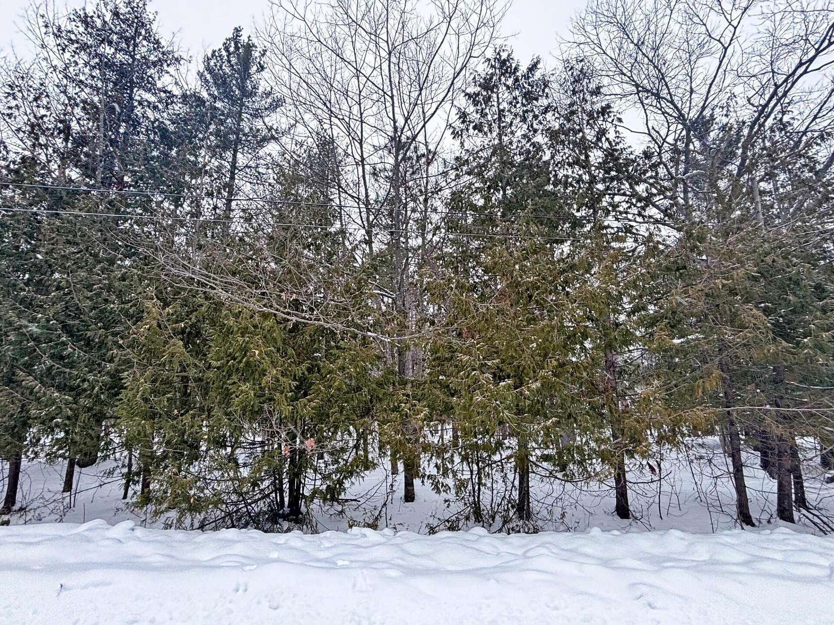 0.42 Acres of Residential Land for Sale in Presque Isle, Michigan