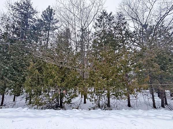 0.42 Acres of Residential Land for Sale in Presque Isle, Michigan