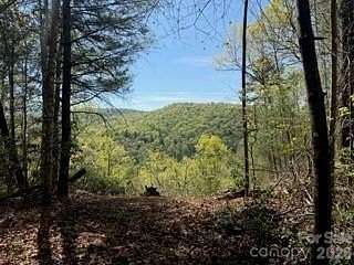 60 Acres of Recreational & Residential Land for Sale in Zirconia, North Carolina