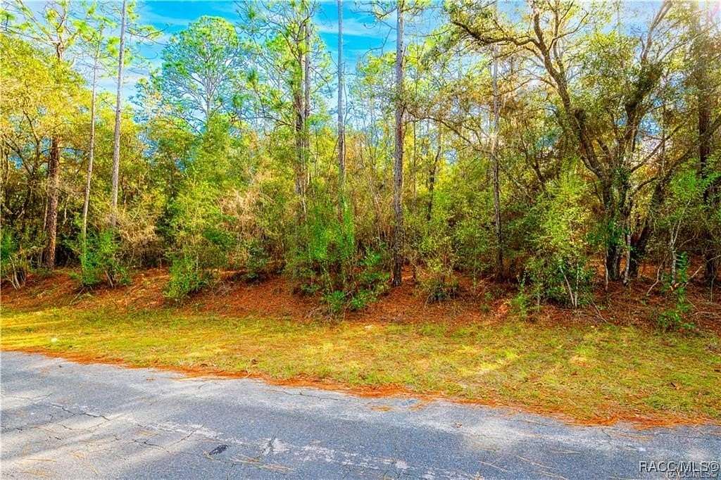 0.29 Acres of Land for Sale in Citrus Springs, Florida