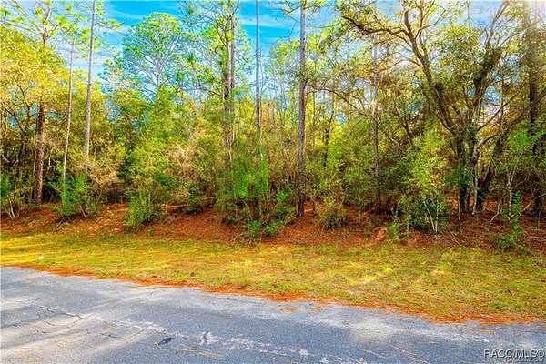 0.29 Acres of Land for Sale in Citrus Springs, Florida