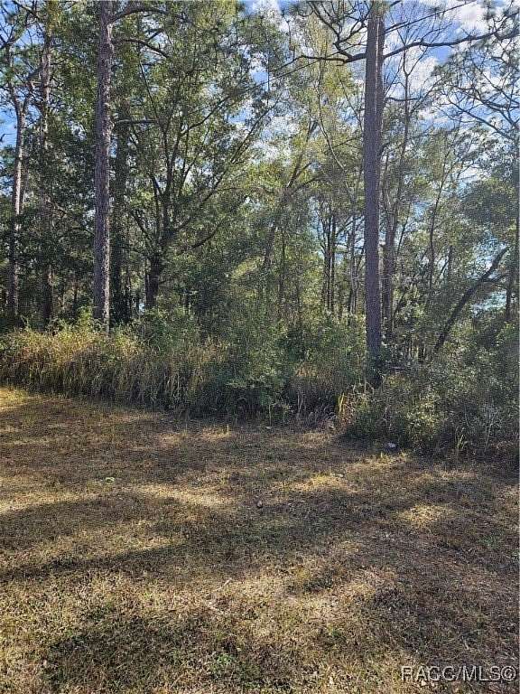 0.29 Acres of Residential Land for Sale in Citrus Springs, Florida