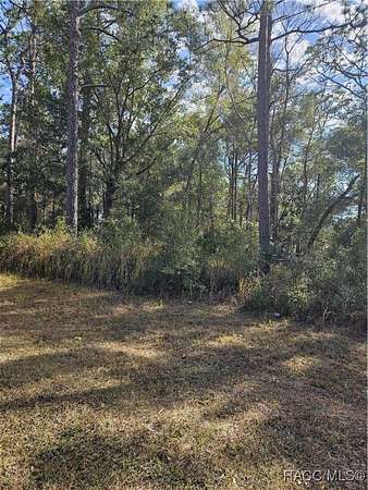0.29 Acres of Residential Land for Sale in Citrus Springs, Florida
