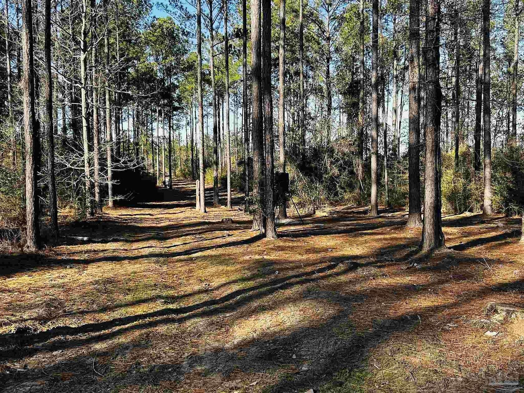 4.18 Acres of Residential Land for Sale in Jay, Florida