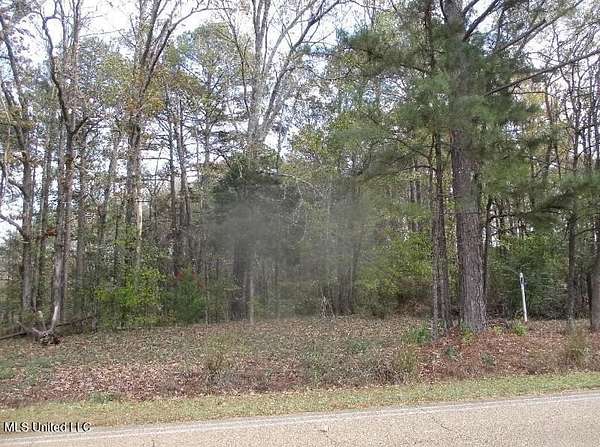 3.9 Acres of Residential Land for Sale in Terry, Mississippi