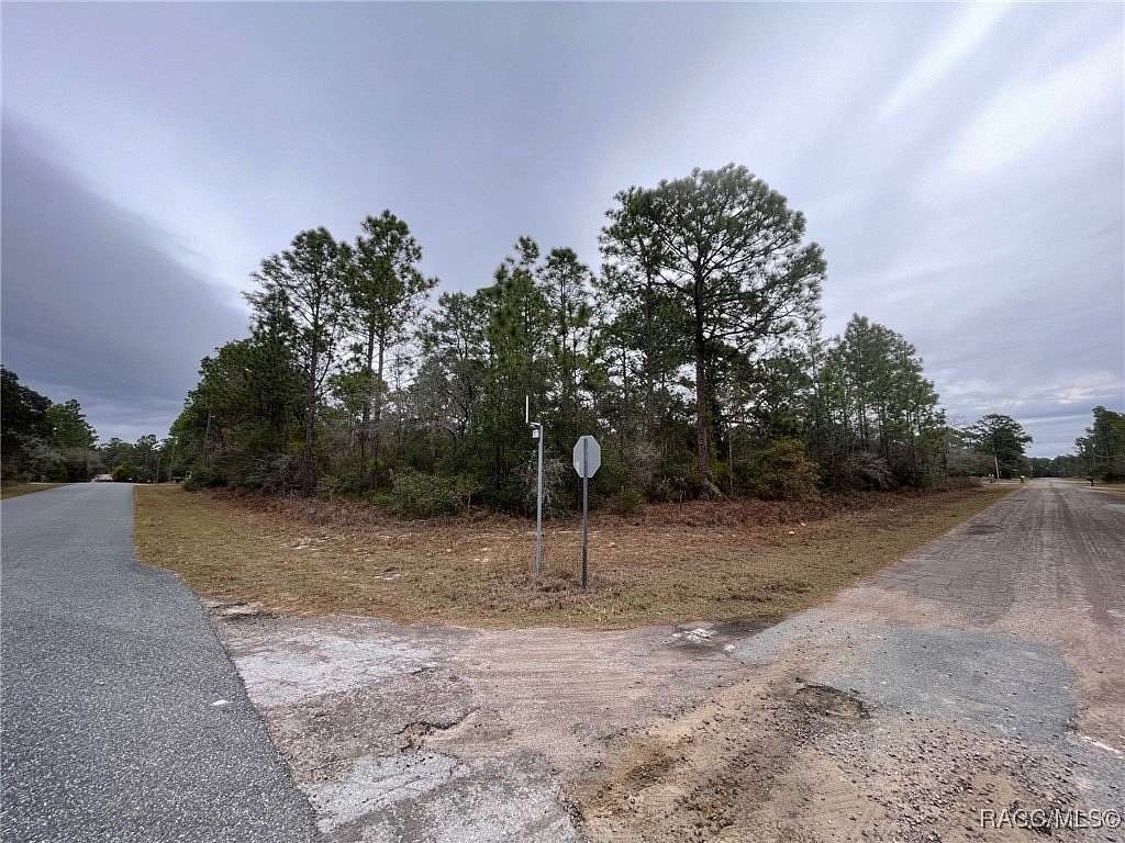 0.31 Acres of Residential Land for Sale in Citrus Springs, Florida