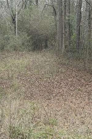 4.1 Acres of Residential Land for Sale in Valley, Alabama