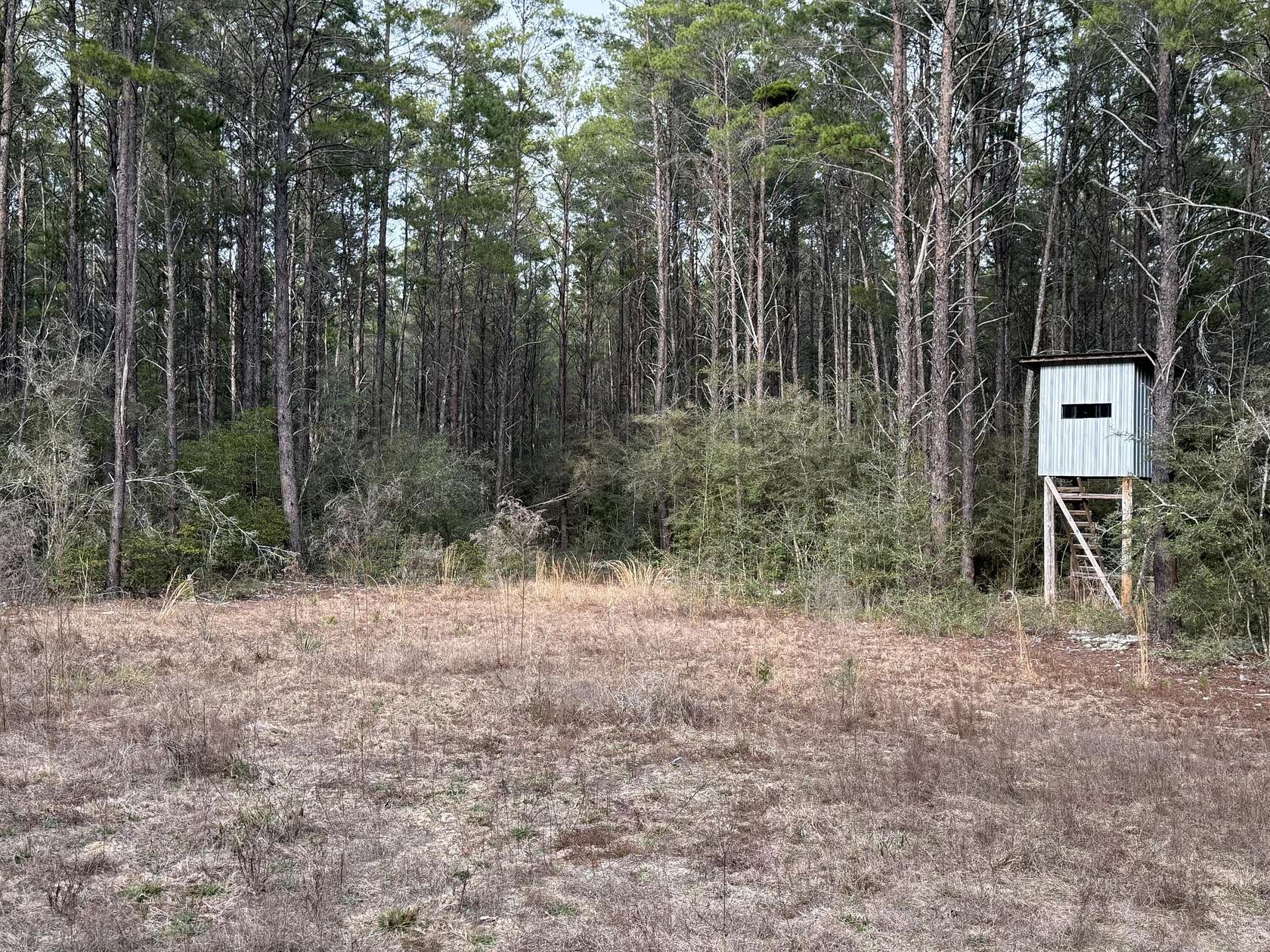 10 Acres of Recreational & Residential Land for Sale in Crestview, Florida