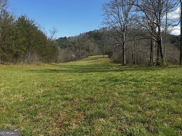45 Acres of Land for Sale in Otto, North Carolina