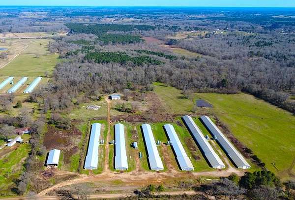 40 Acres of Agricultural Land for Sale in Center, Texas