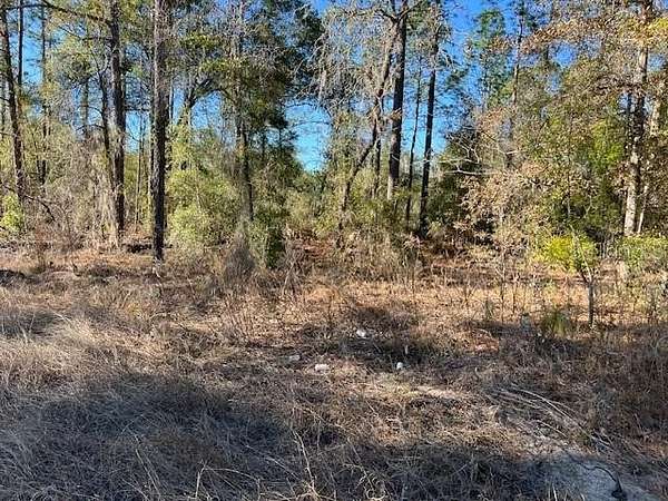 1.15 Acres of Residential Land for Sale in Ocala, Florida
