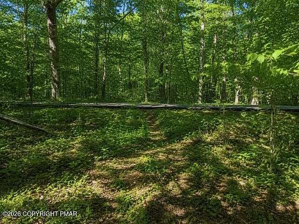 15.3 Acres of Recreational & Residential Land for Sale in Henryville, Pennsylvania