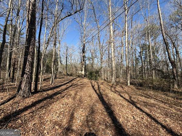 3 Acres of Land for Sale in Griffin, Georgia