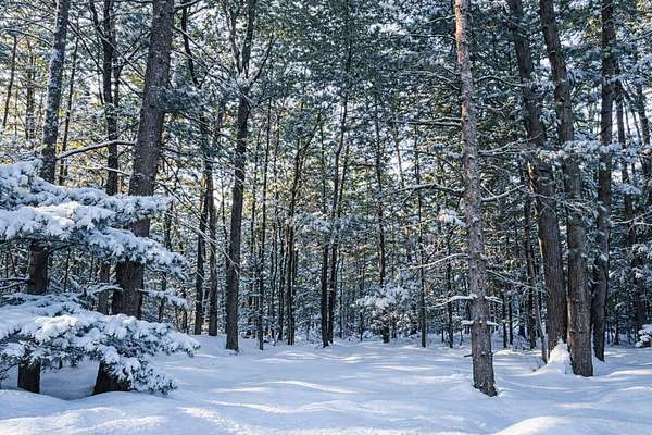 1 Acre of Residential Land for Sale in Interlochen, Michigan