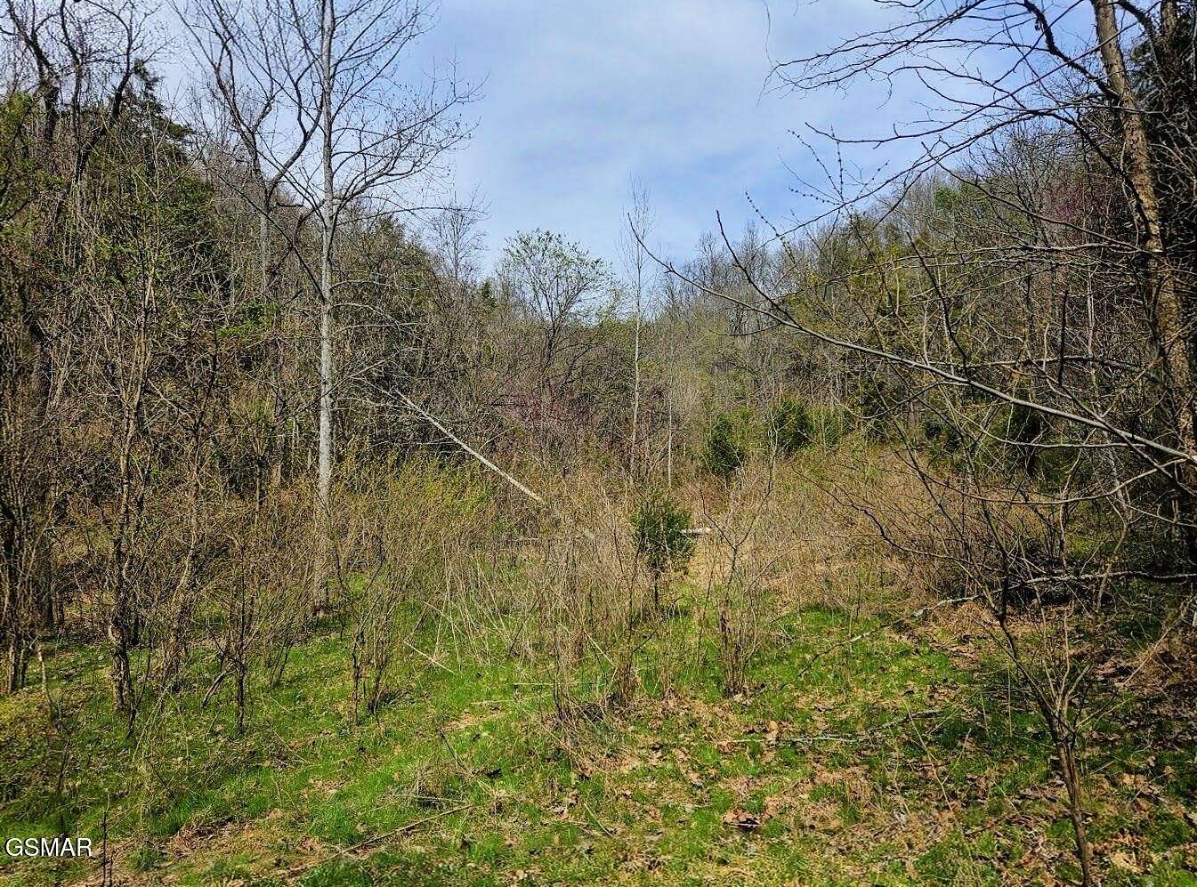 21.5 Acres of Land for Sale in Newport, Tennessee