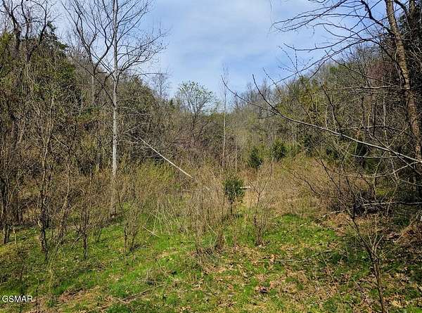 21.5 Acres of Recreational Land for Sale in Newport, Tennessee