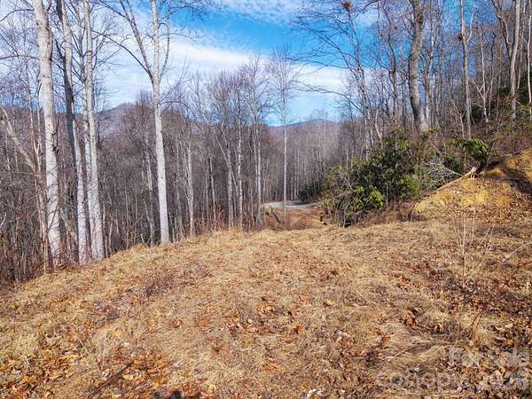 3.7 Acres of Residential Land for Sale in Swannanoa, North Carolina