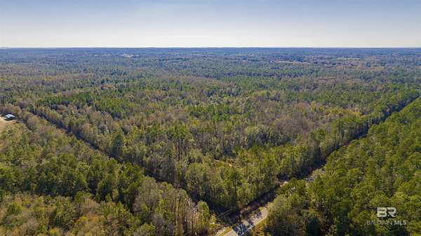 306 Acres of Recreational Land for Sale in Silverhill, Alabama