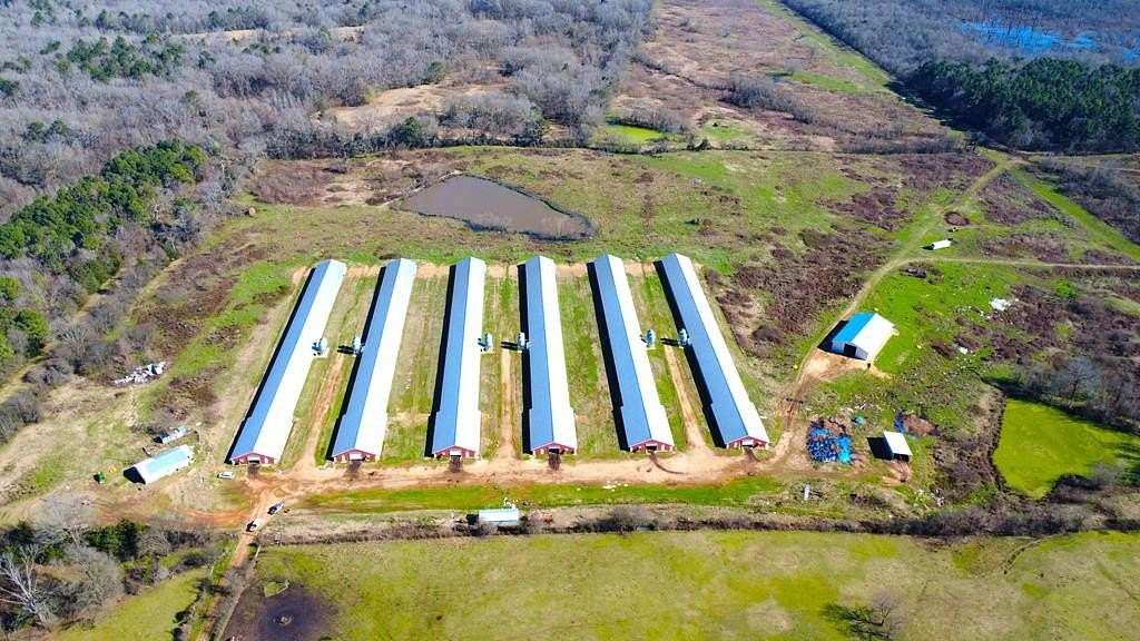 42 Acres of Agricultural Land for Sale in Center, Texas