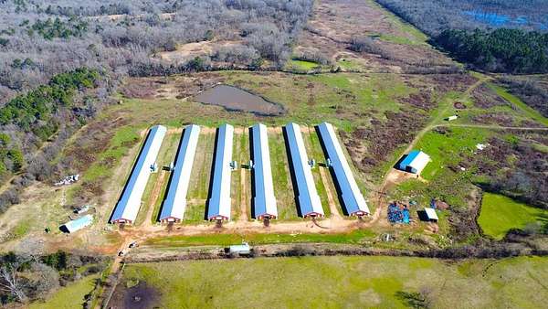 42 Acres of Agricultural Land for Sale in Center, Texas