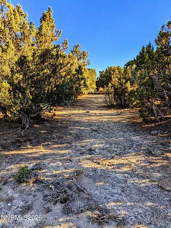 41.6 Acres of Recreational Land for Sale in Montello, Nevada