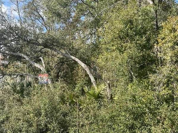 0.29 Acres of Residential Land for Sale in Ocklawaha, Florida