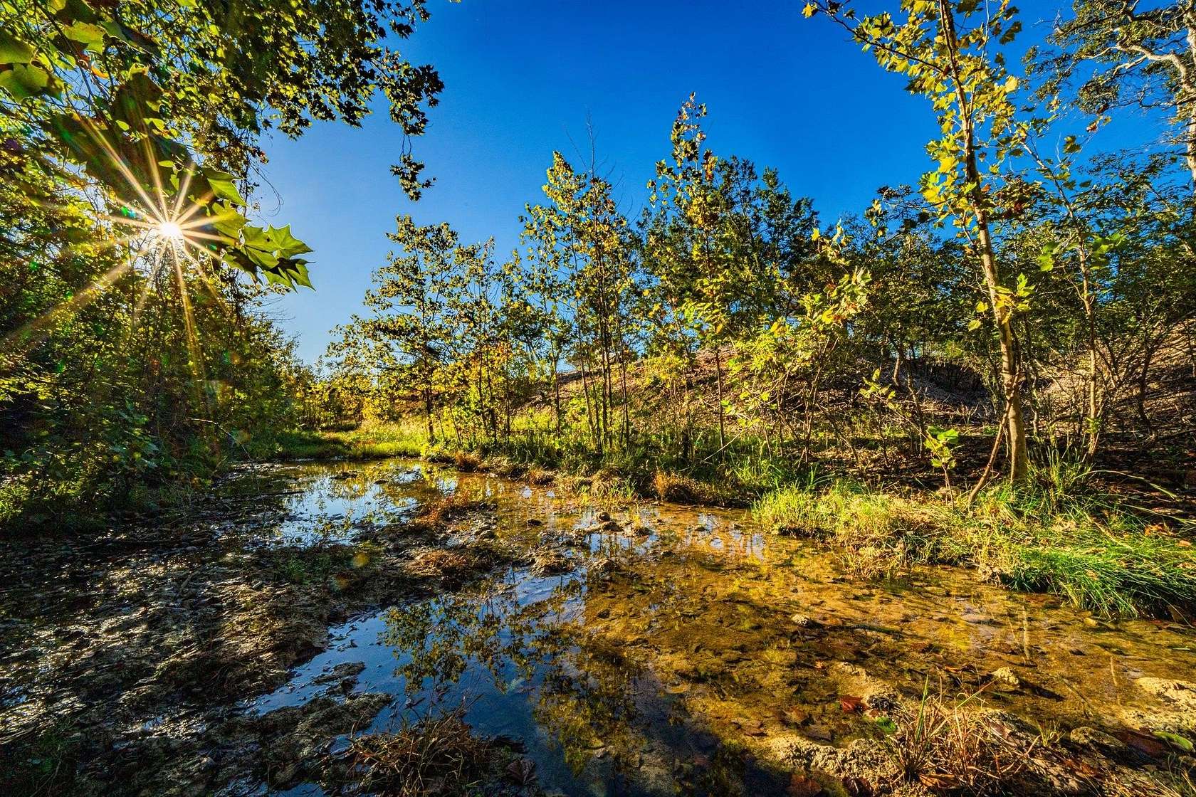 50 Acres of Recreational Land for Sale in Salado, Texas