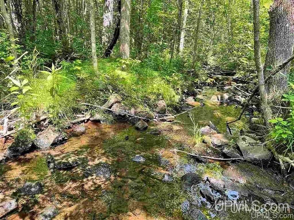 11.7 Acres of Recreational Land for Sale in Kimball Town, Wisconsin