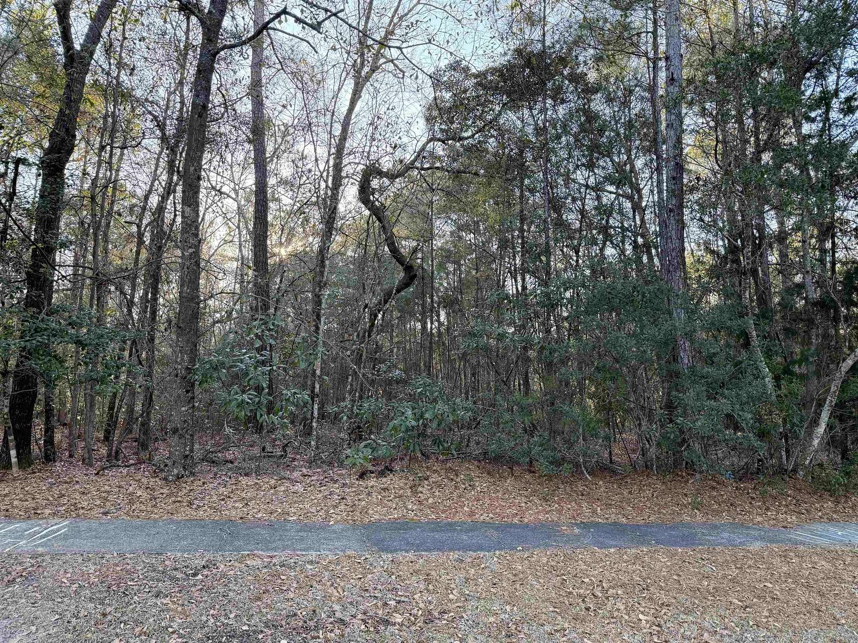 0.17 Acres of Residential Land for Sale in Georgetown, South Carolina