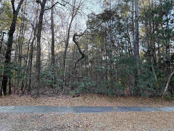 0.17 Acres of Residential Land for Sale in Georgetown, South Carolina