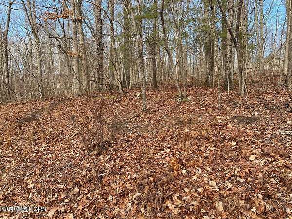 0.3 Acres of Residential Land for Sale in Crossville, Tennessee