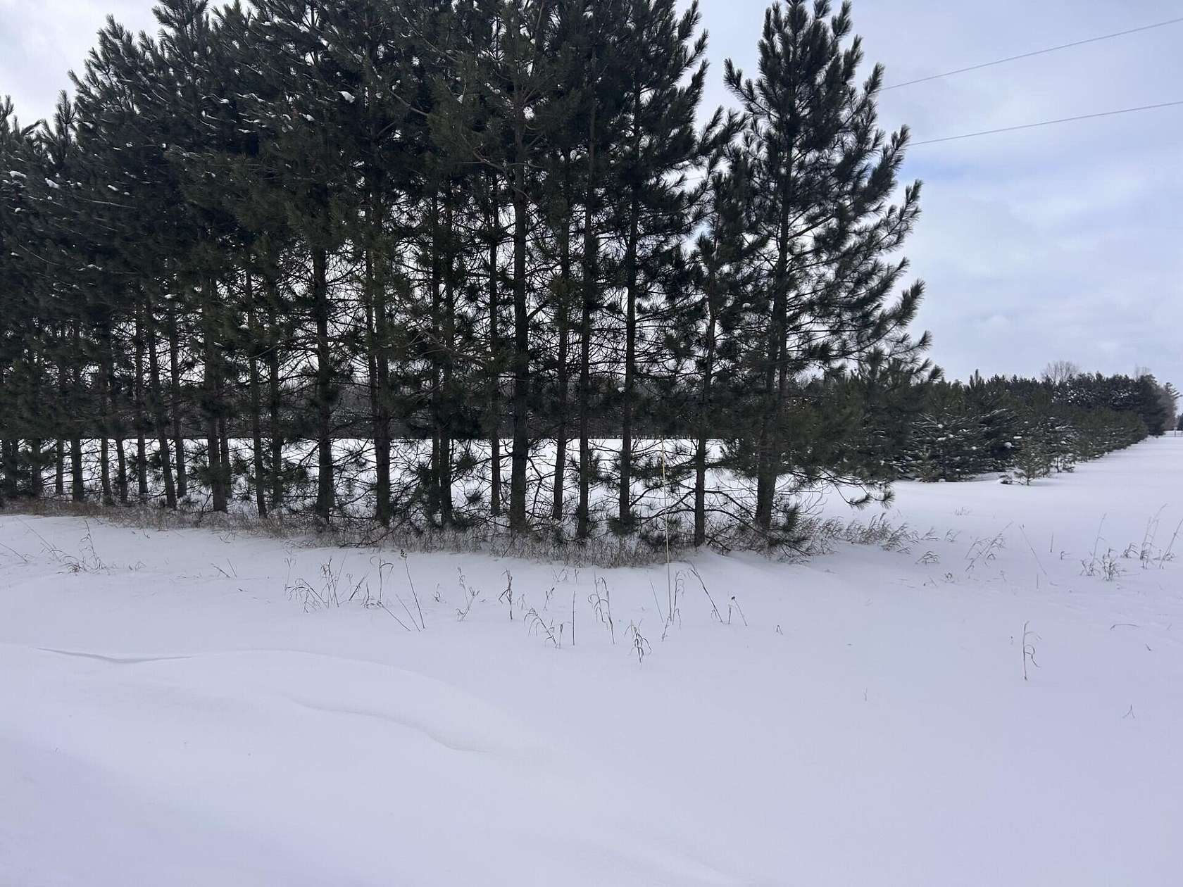 20 Acres of Land for Sale in Roscommon, Michigan