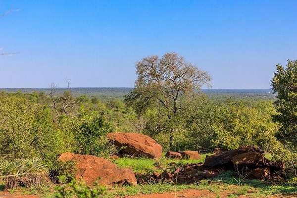 10.1 Acres of Recreational & Residential Land for Sale in Mason, Texas