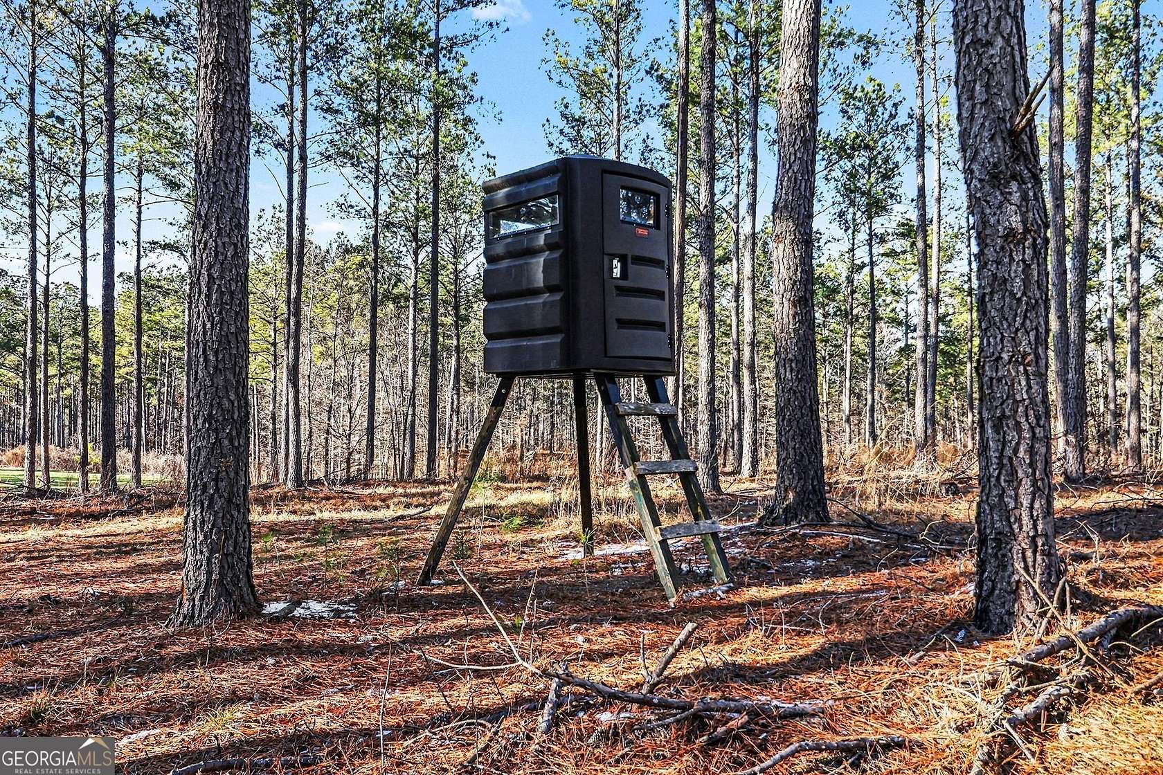 63.3 Acres of Recreational Land for Sale in Comer, Georgia