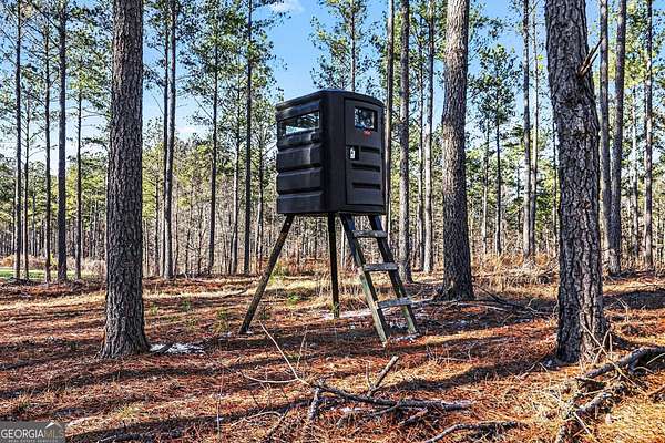 63.3 Acres of Recreational Land for Sale in Comer, Georgia