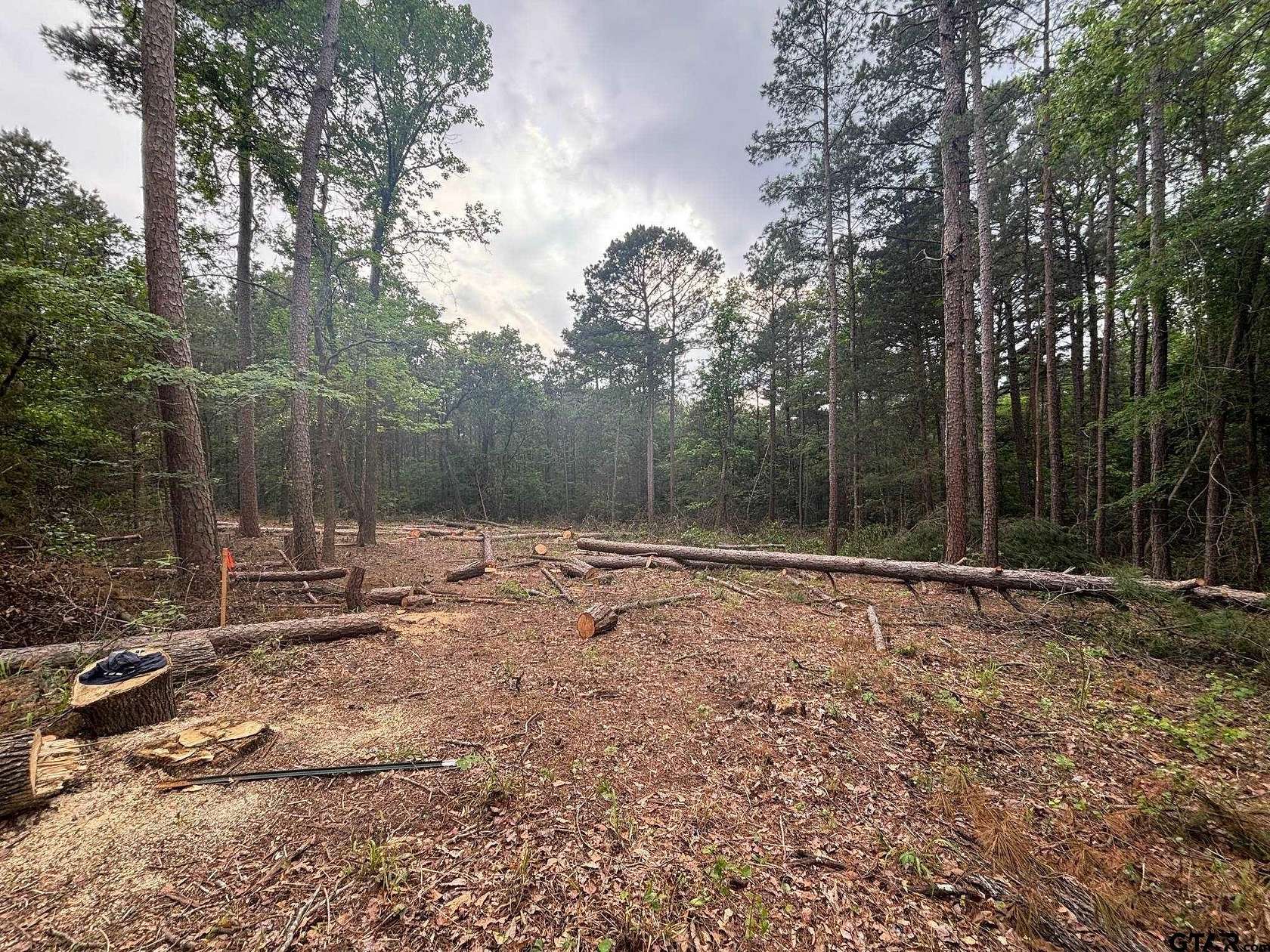 1 Acre of Residential Land for Sale in Diana, Texas