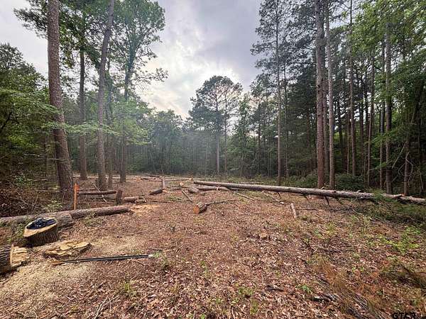 1 Acre of Residential Land for Sale in Diana, Texas