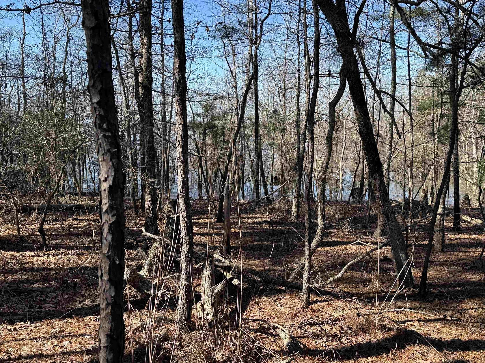 1 Acre of Residential Land for Sale in Brookeland, Texas