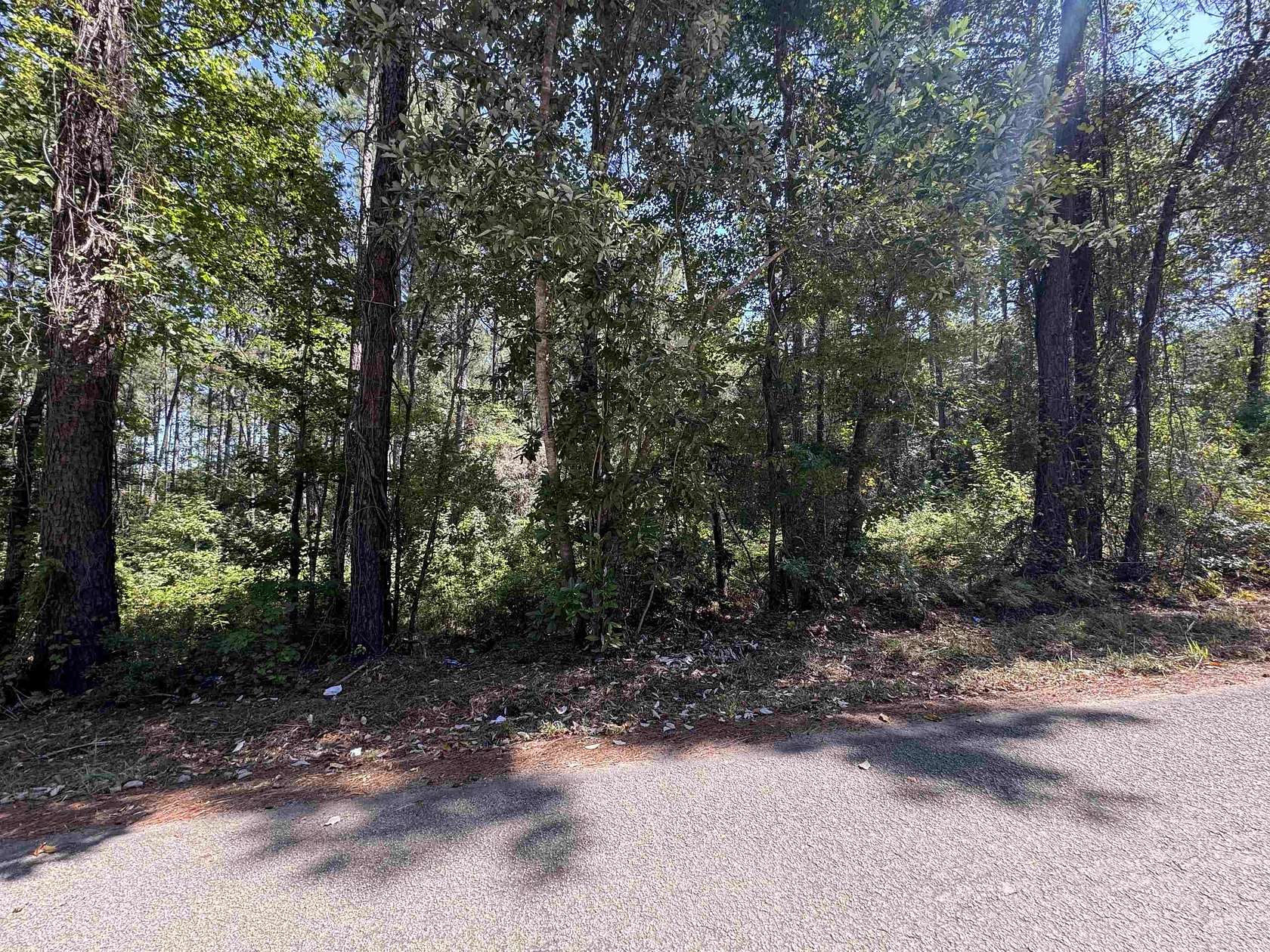 Land for Sale in Brookeland, Texas