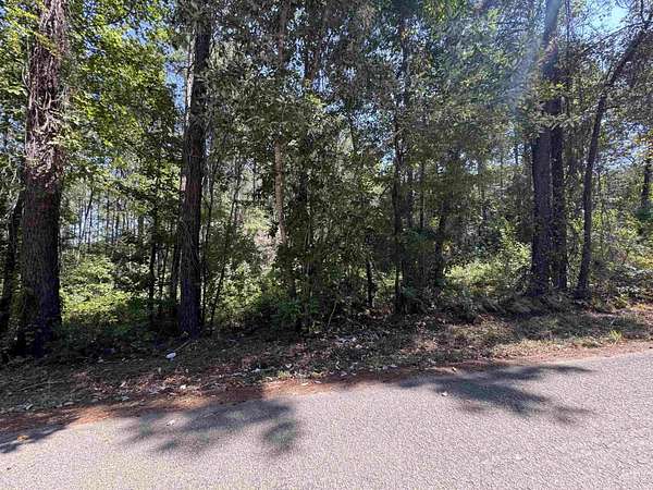 Land for Sale in Brookeland, Texas