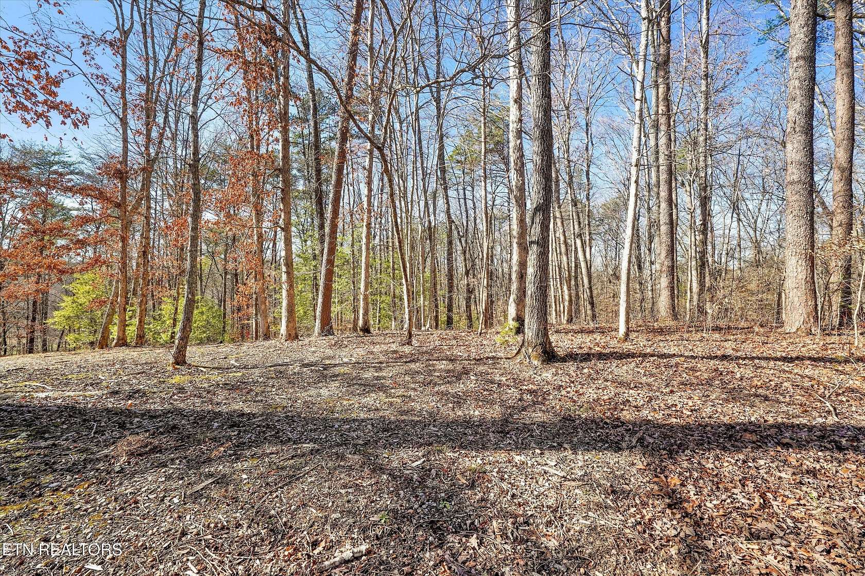 6.78 Acres of Land for Sale in Walland, Tennessee