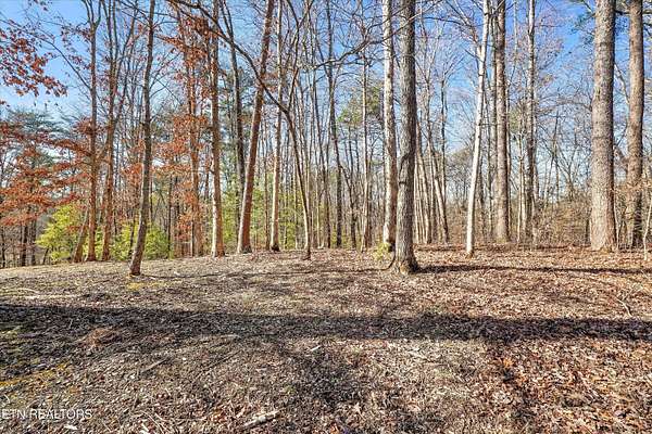 6.78 Acres of Land for Sale in Walland, Tennessee